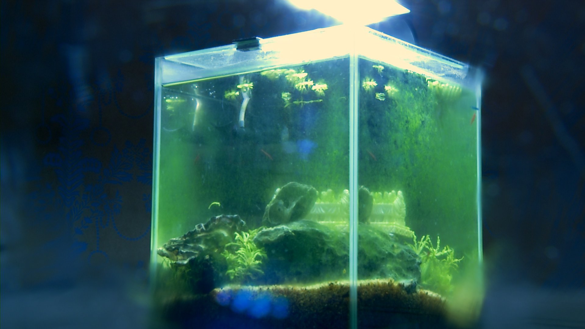 Avsked och återkomster