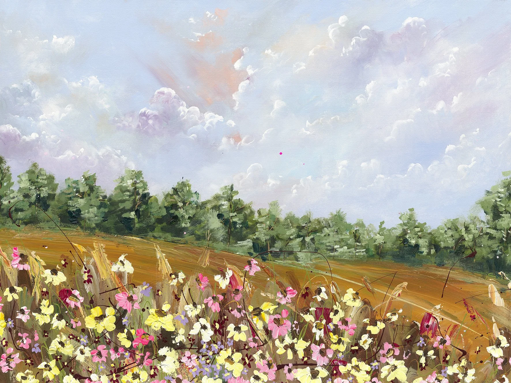 Cohage Side Views 1000x750 Cleaned 300Dpi.jpg