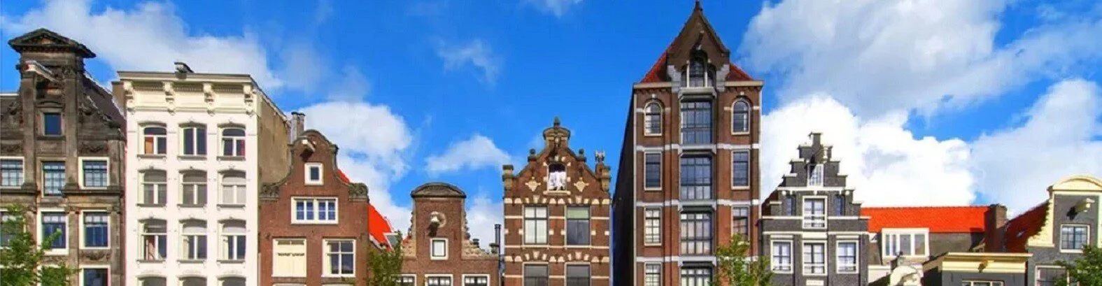 Dutch Language Test - Year 1 (2022 edition)