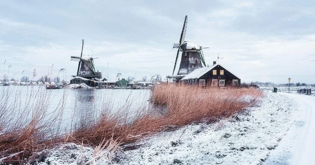 Vandaag begint de winter! Ben jij er al klaar voor? Welke winterwoorden ken jij al?

Words of the day: 

De winter - The winter
De sneeuw - The rain
De kou - The cold
Het ijs - The ice

#startofwinter #learndutch #dutch #dutchlanguage #dutch #dutchgr