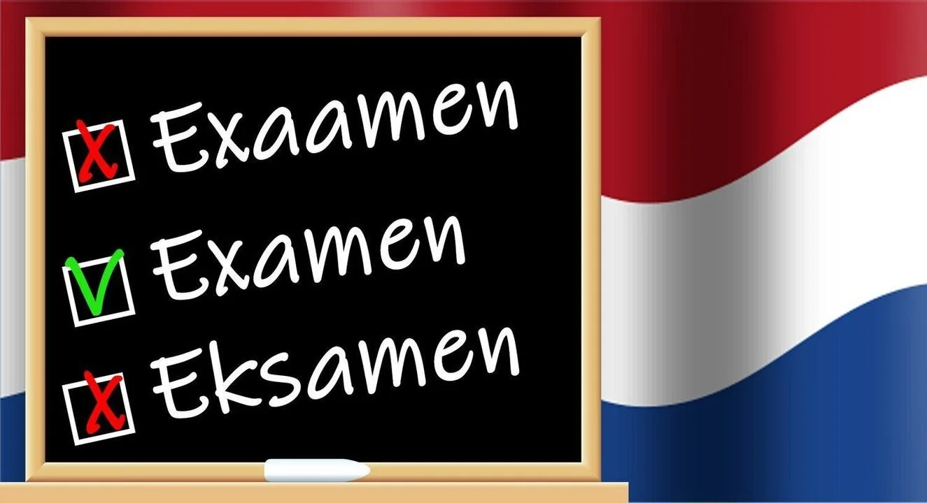 The beginning of the new year is a great time to assess your Dutch language skills and find out what you know well and what topics need some extra attention. Try the Year 1 Dutch language test on our website to assess your knowledge of the Dutch lang