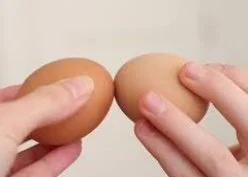 Vandaag is het Tweede Paasdag.

Traditionally Dutch people tend to spend this day buying furniture in &ldquo;meubelboulevards&rdquo;, however some Dutchies spend it with playing Eitje tik (Little egg ticking). It is about banging hard-boiled eggs aga