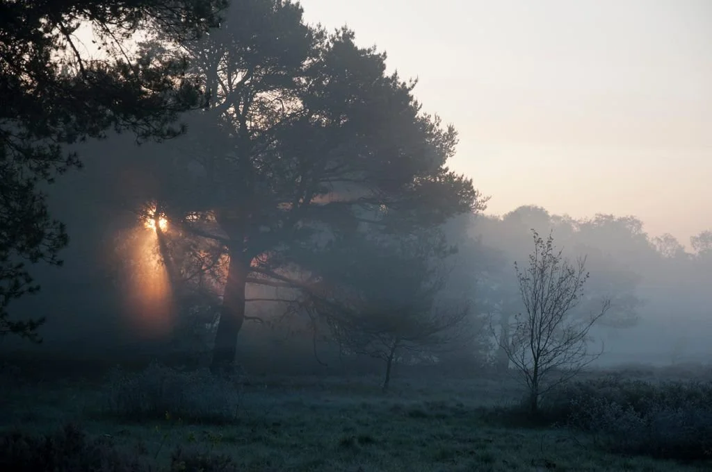 Today it is Hemelvaartsdag. A day to celebrate the ascension of Jesus to the Hemel (heaven). A lot of Dutch people get up early to go Dauwtrappen (kicking dew). They wake up early in the morning and go for a walk. Traditionally, people would walk bar