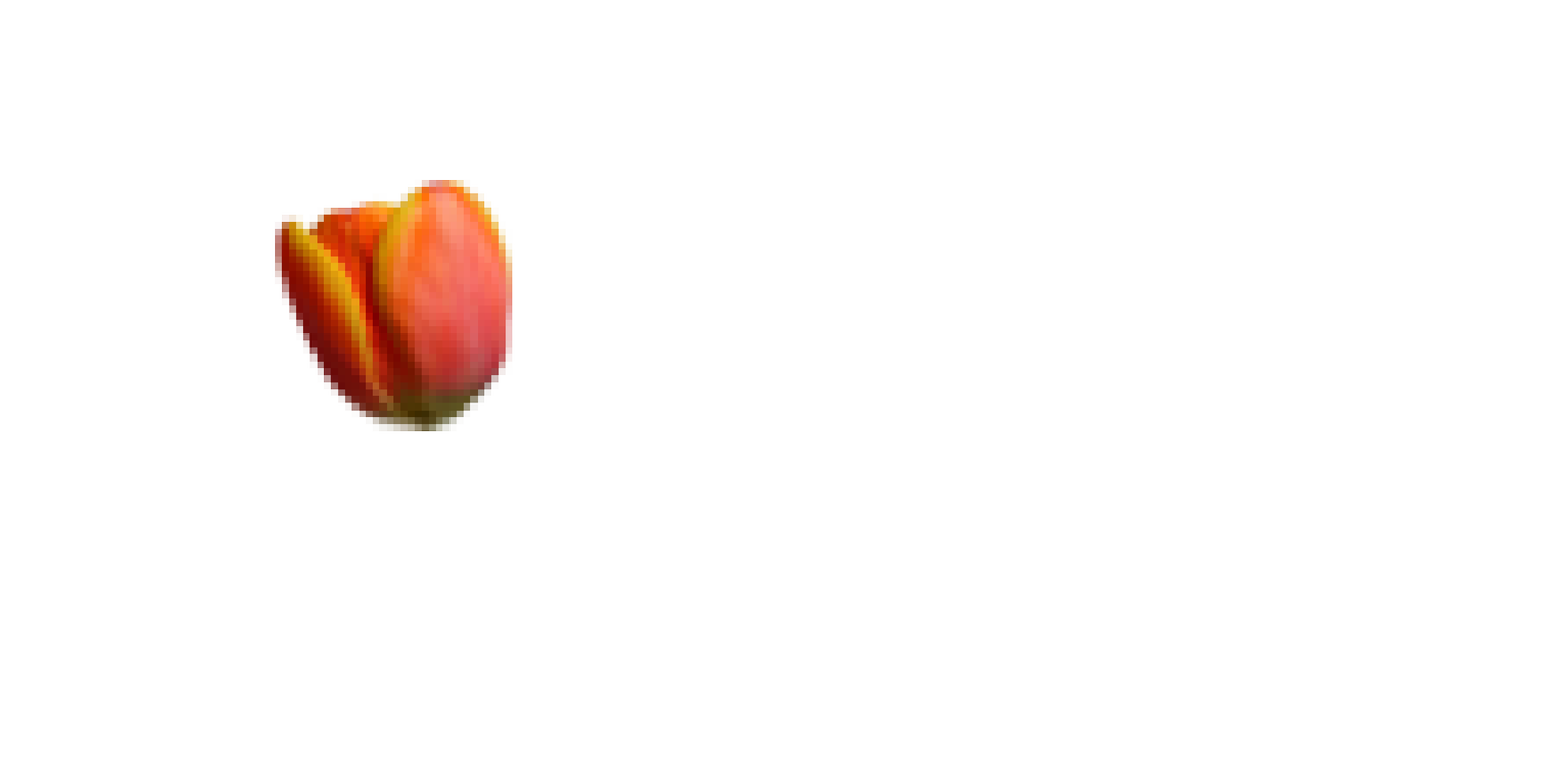 Best Dutch Books for Beginners | Learn Dutch Through Reading