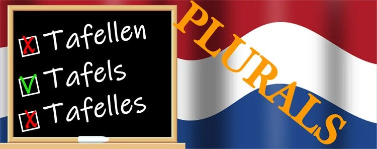 5. Dutch Plurals Language Test