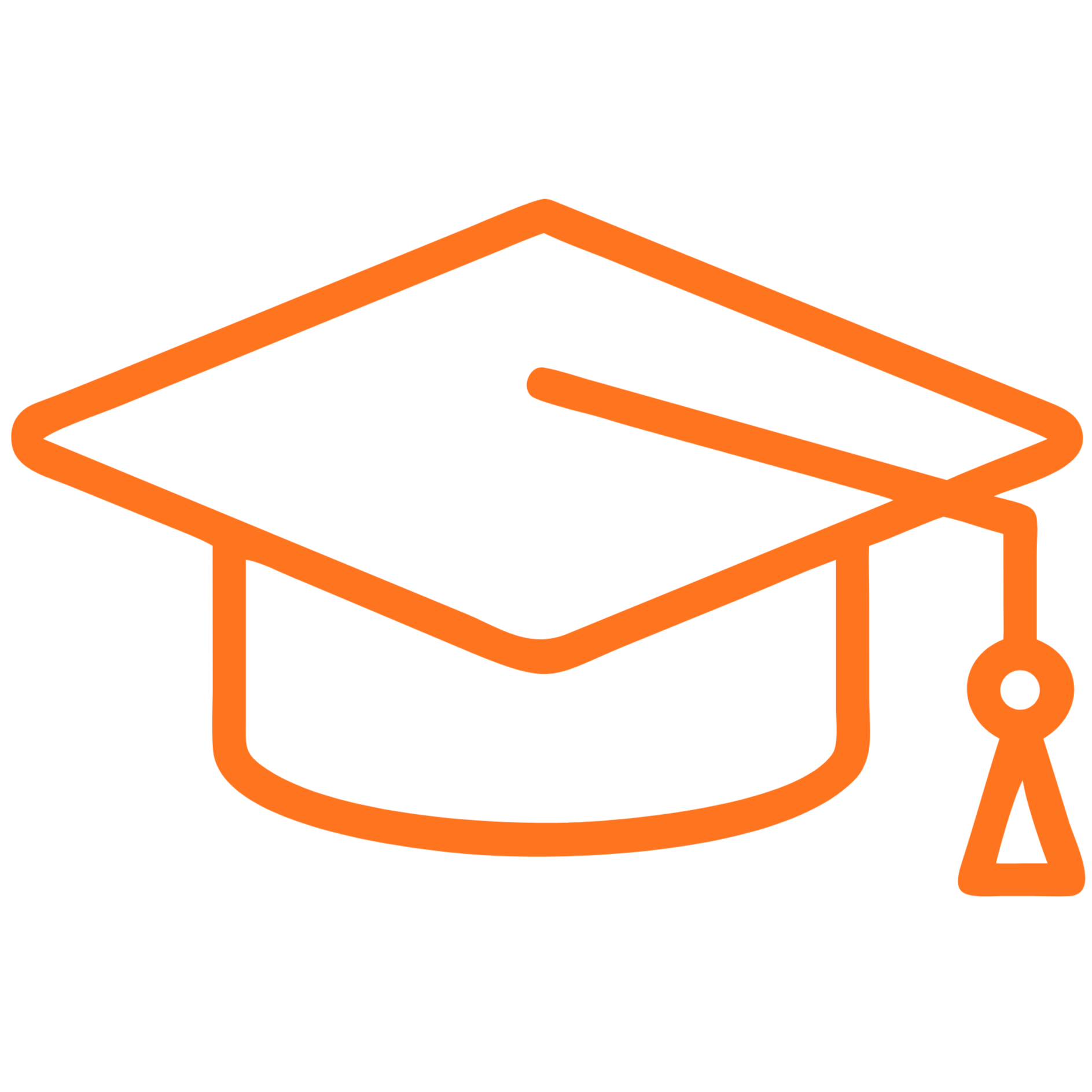 learn dutch in 20 weeks