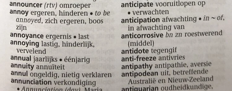 Dutch Language Services