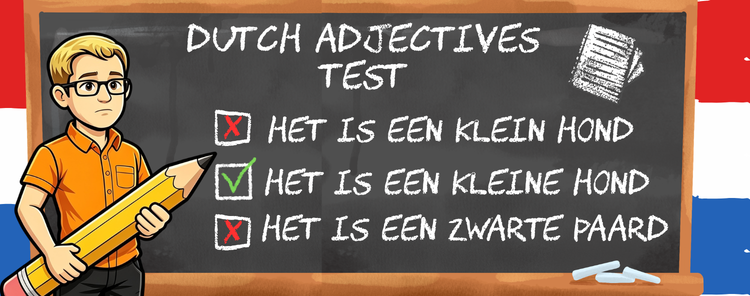 Dutch Adjectives Language test