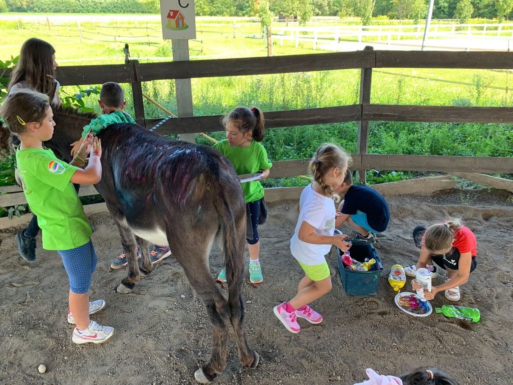 Natura Summer Camp 22- Laboratori creativi 2.jpg