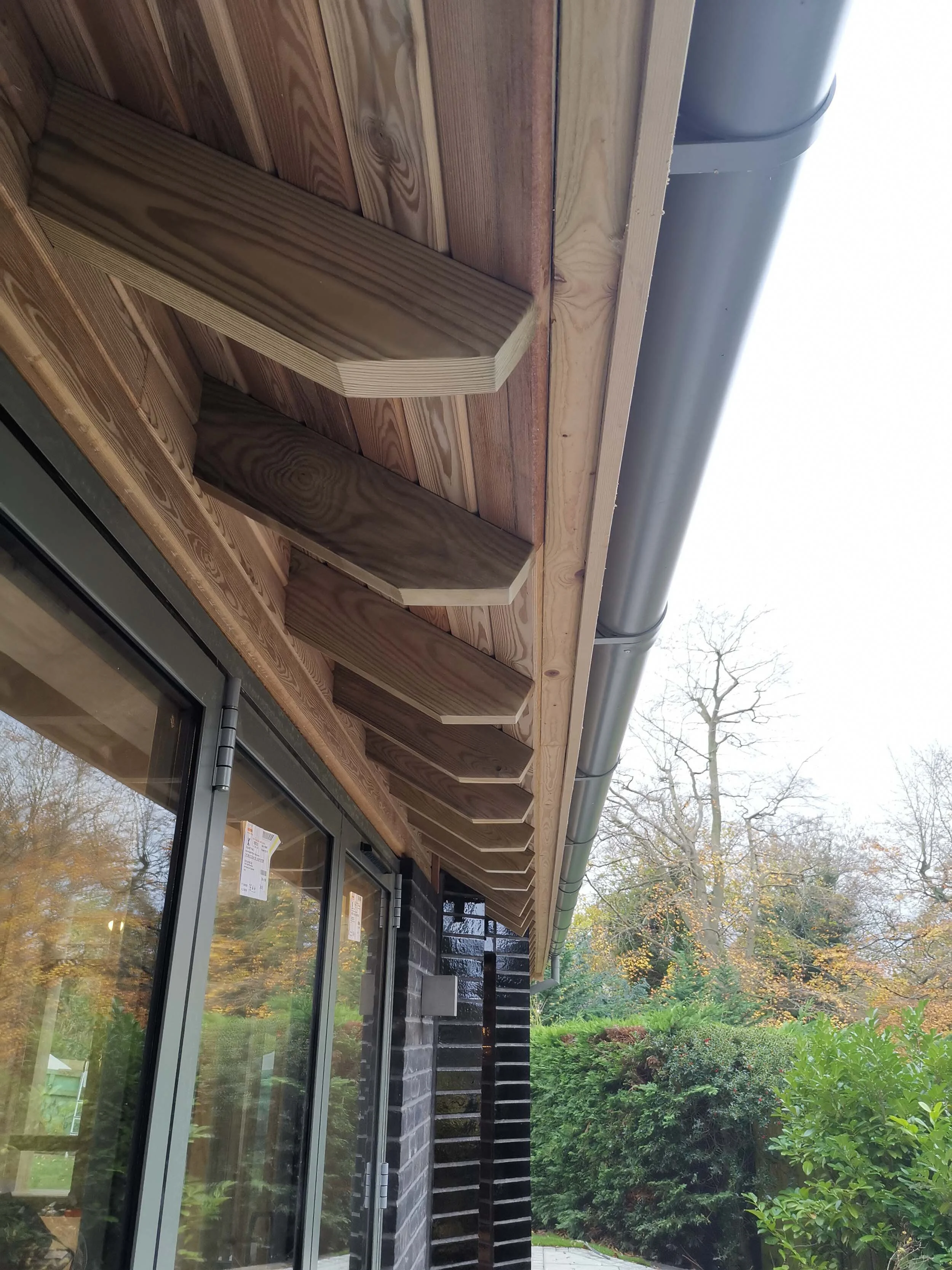 KD-Design- House extension with exposed rafter feet eaves detailing.jpg