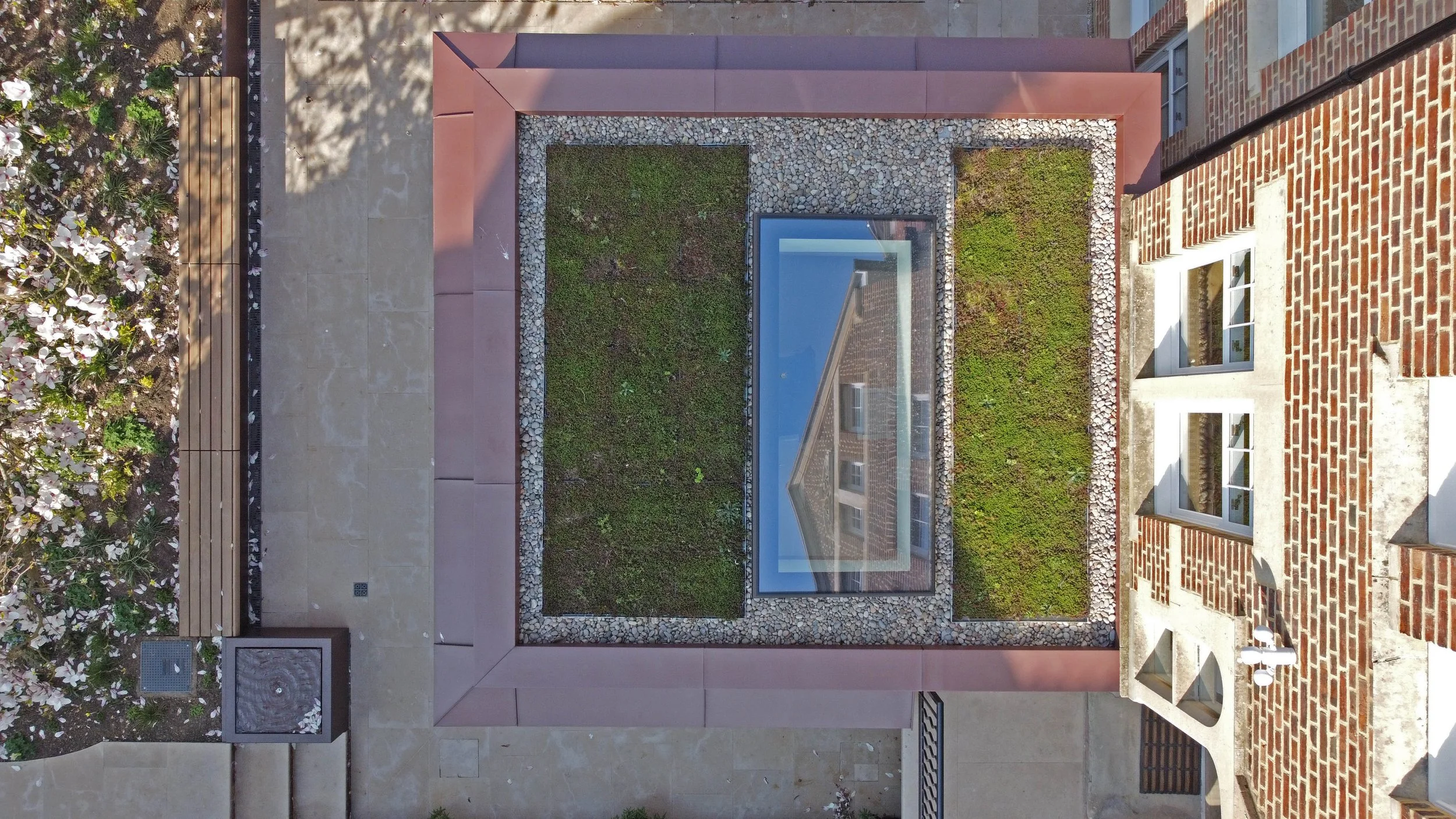 DJI_0951-1.jpg