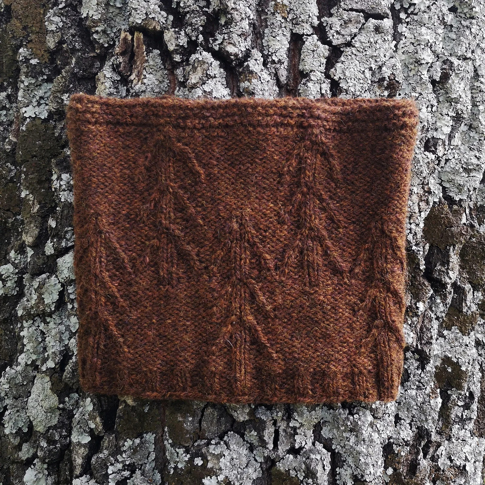 Reforest Cowl
