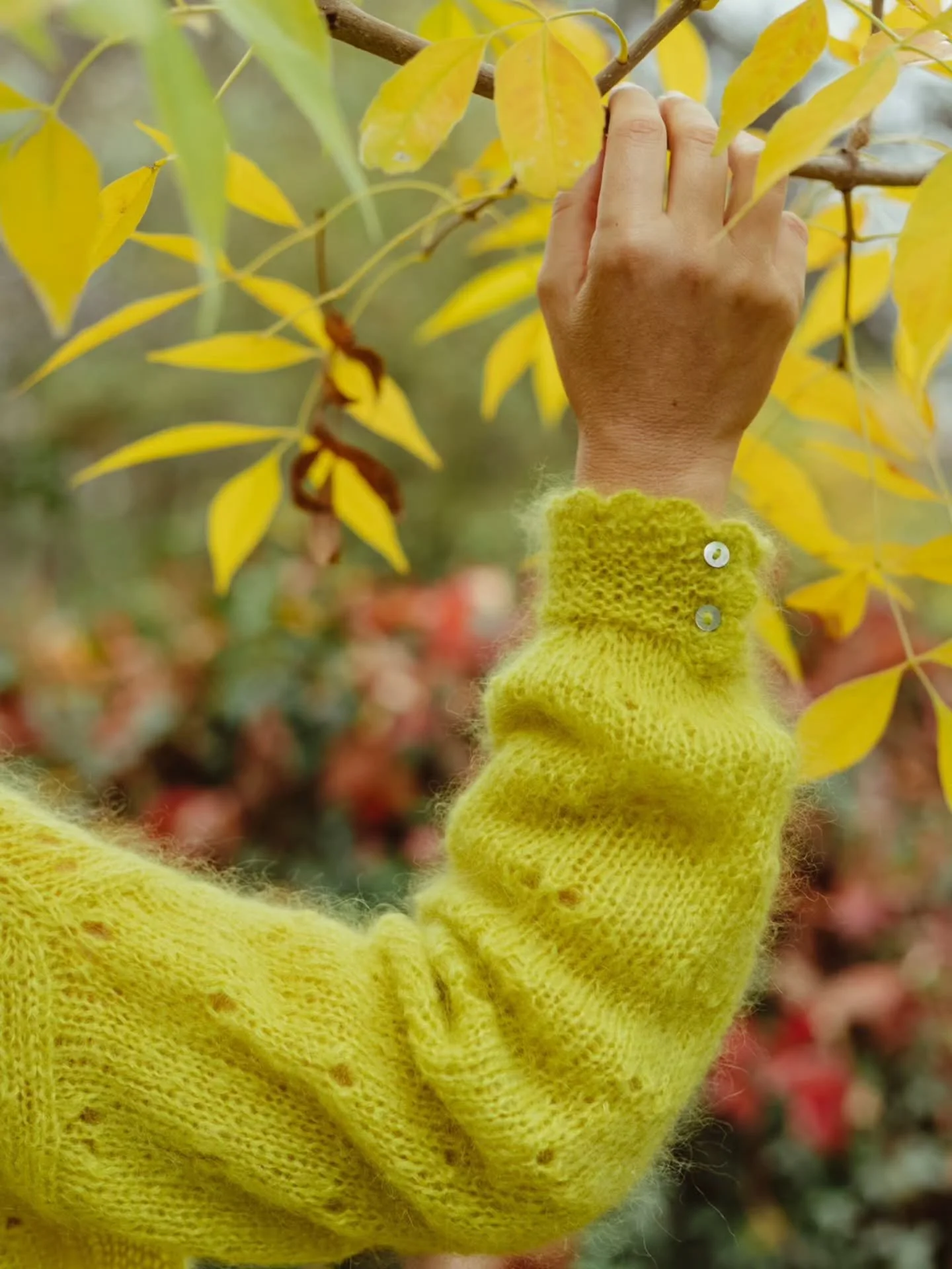 Queridas m&iacute;as&hellip; este fin de semana&hellip; 🥁🥁🥁✨

💫 Alza el vuelo Ra&iacute;ces IV 💫

Un e-book que te llevar&aacute; de la mano por un viaje lleno de inspiraci&oacute;n.

Mi corazona, amiga y compa&ntilde;era de aventura @santapazie