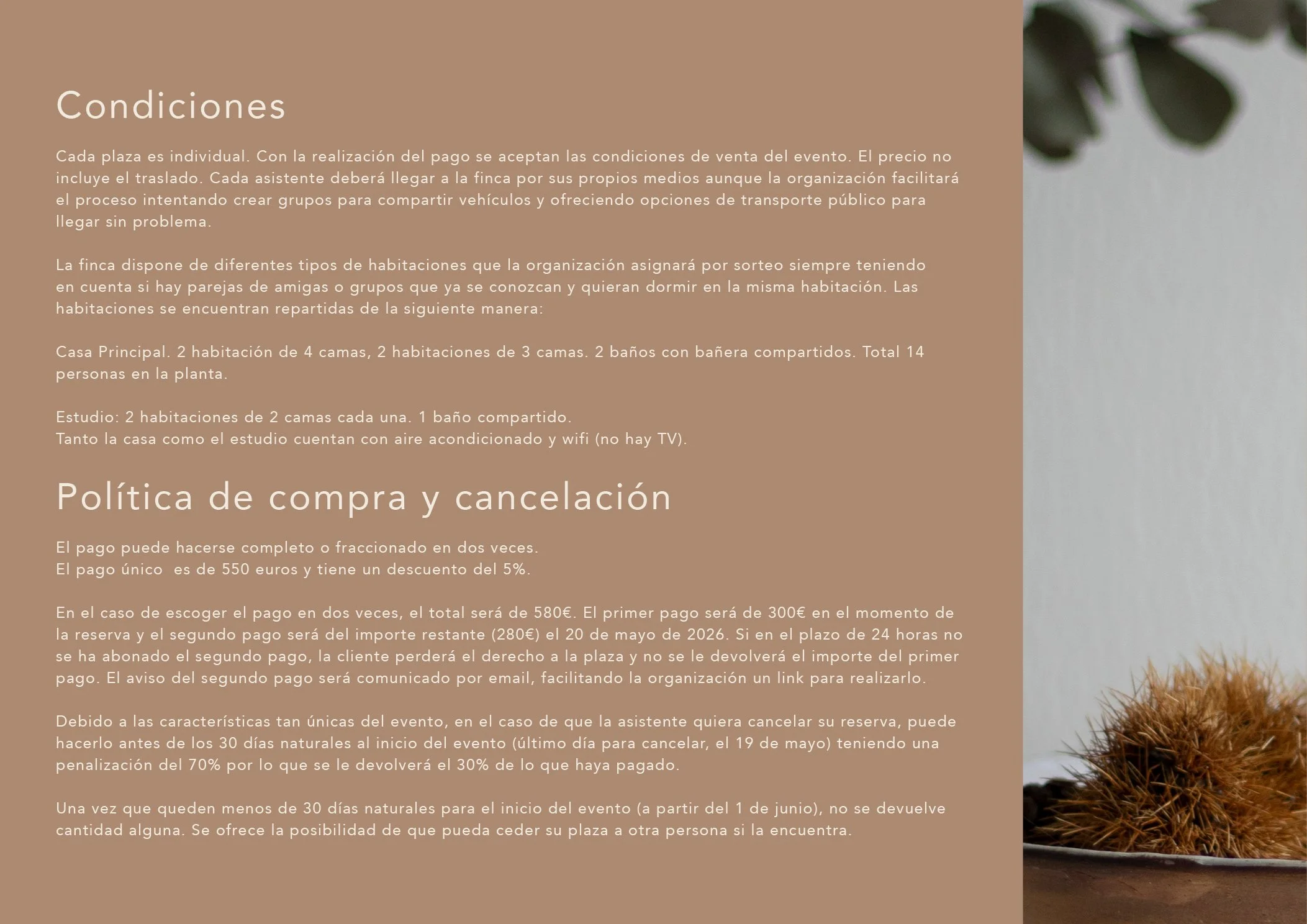 Dossier retiro verano_202613.jpg