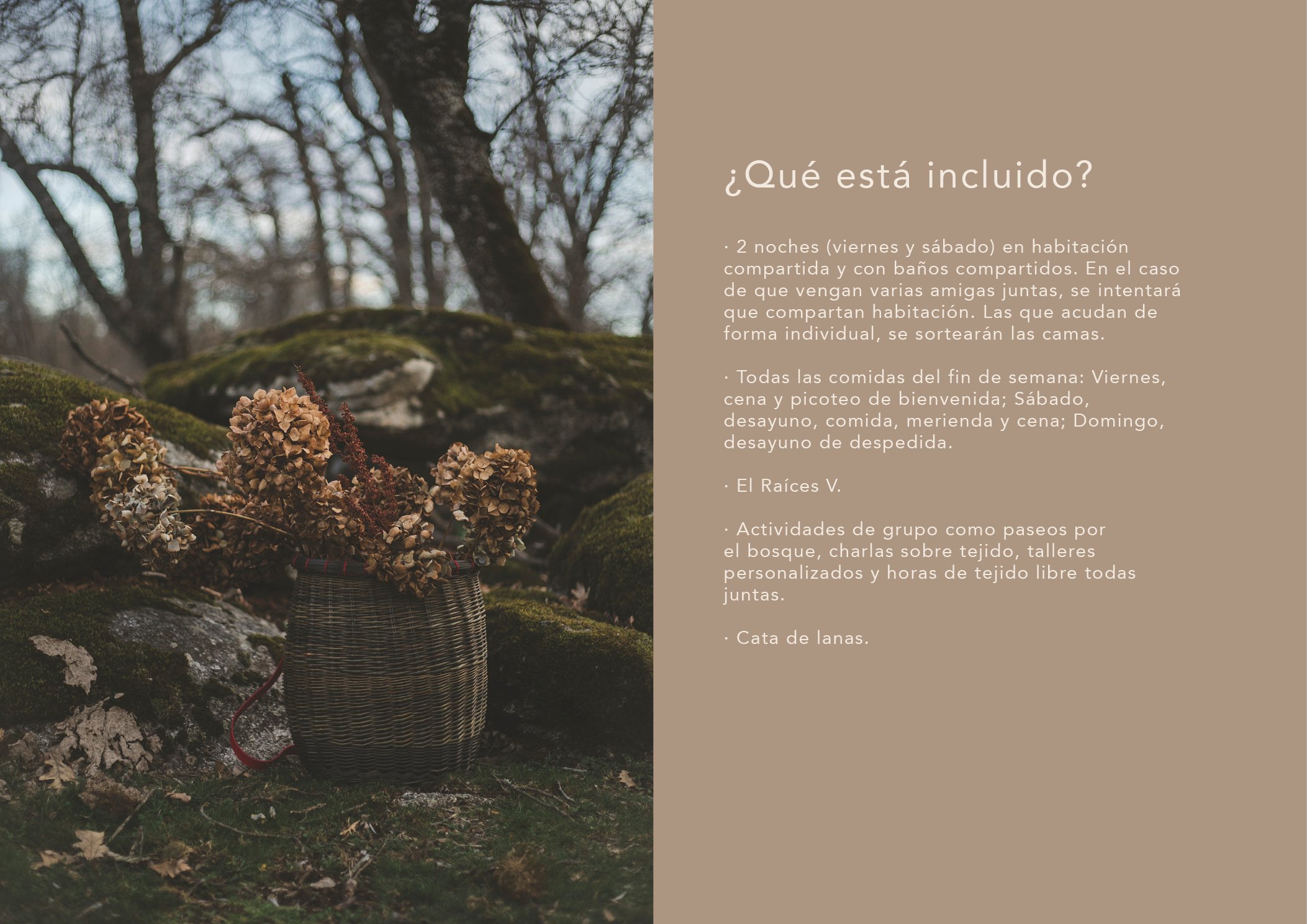 Dossier retiro a las raices IV11.jpg