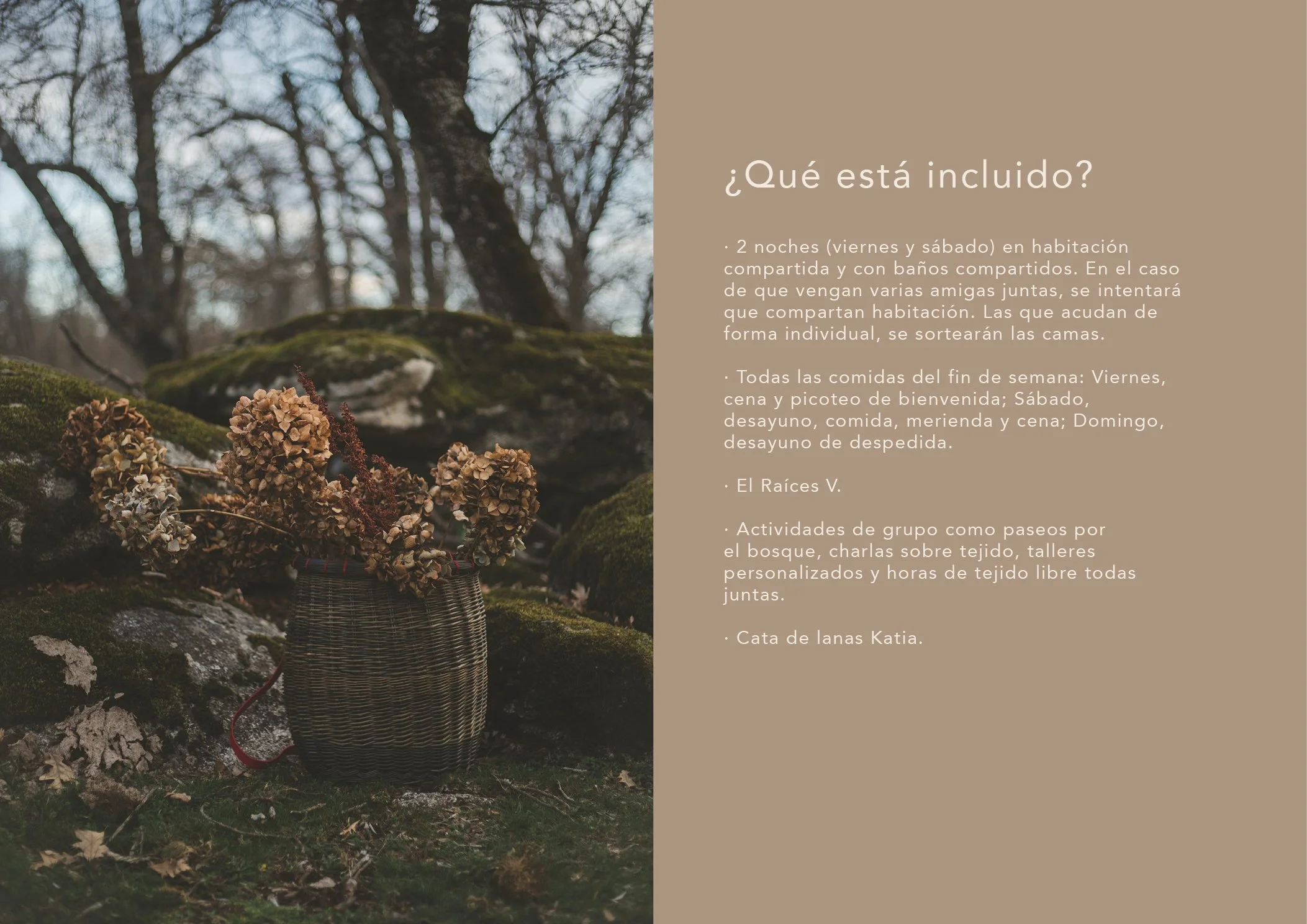 Dossier retiro a las raices V_katia11.jpg