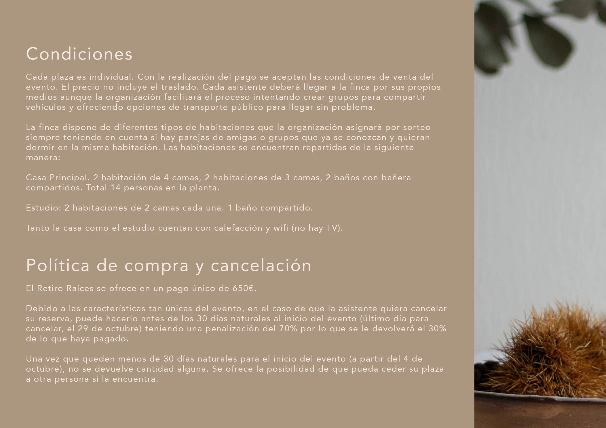Dossier retiro a las raices V_katia12.jpg