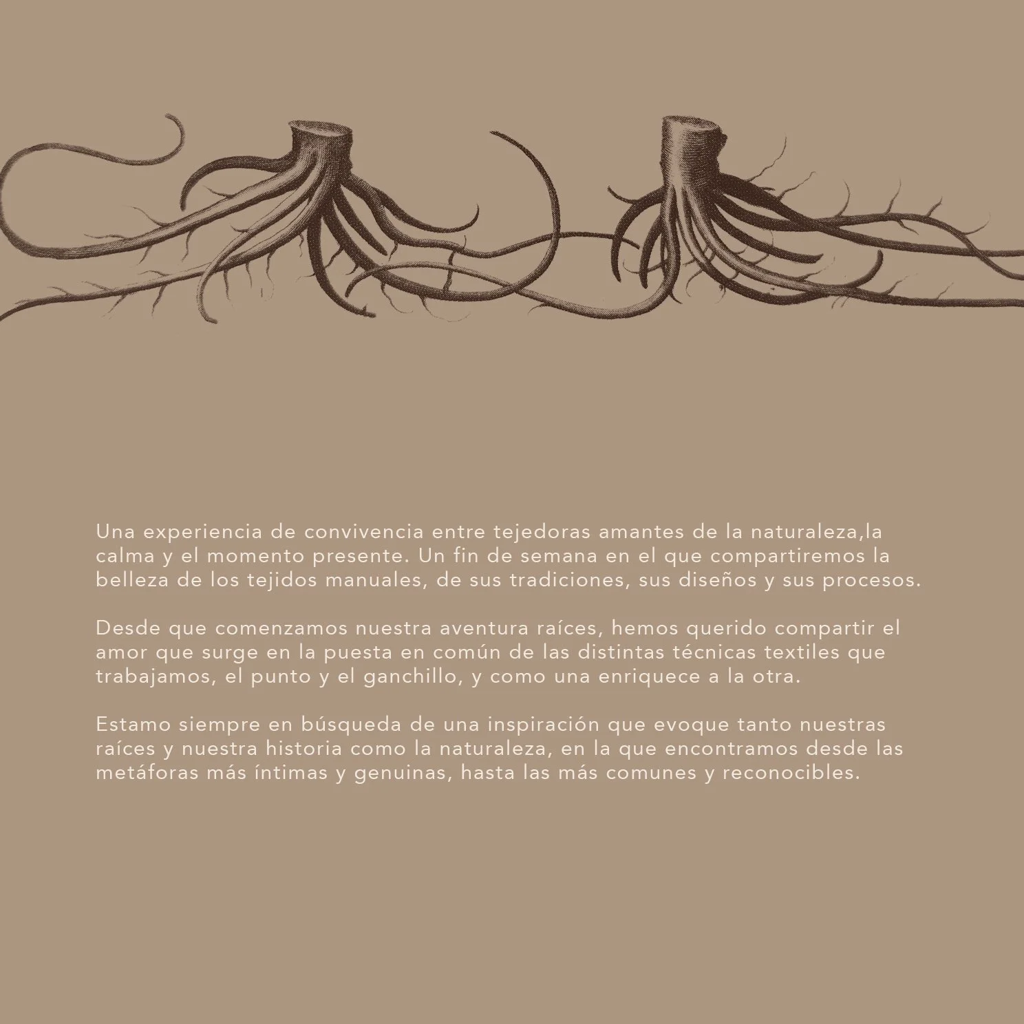 Dossier retiro a las raices IV2WEB.jpg