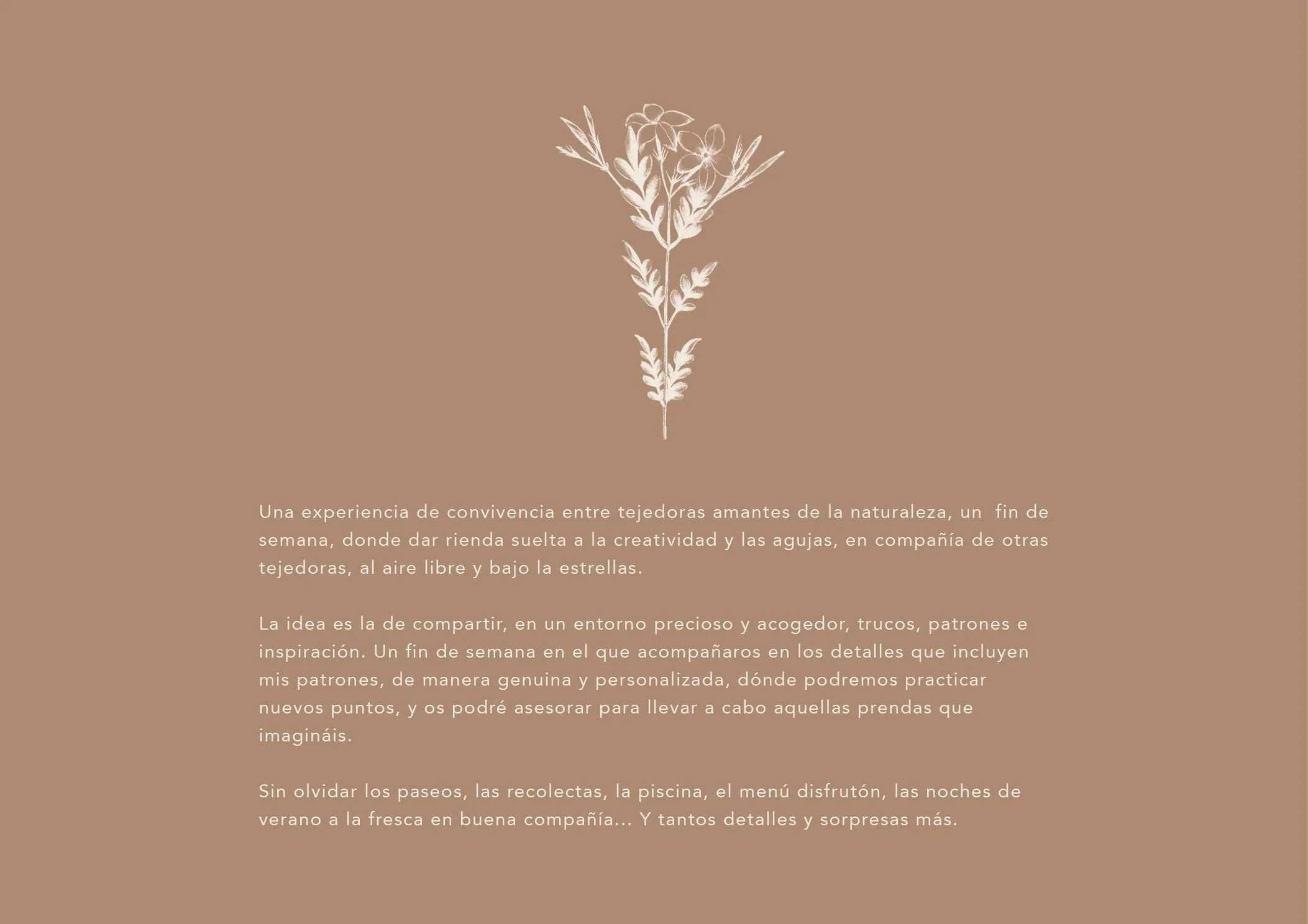 Dossier retiro verano_20262.jpg