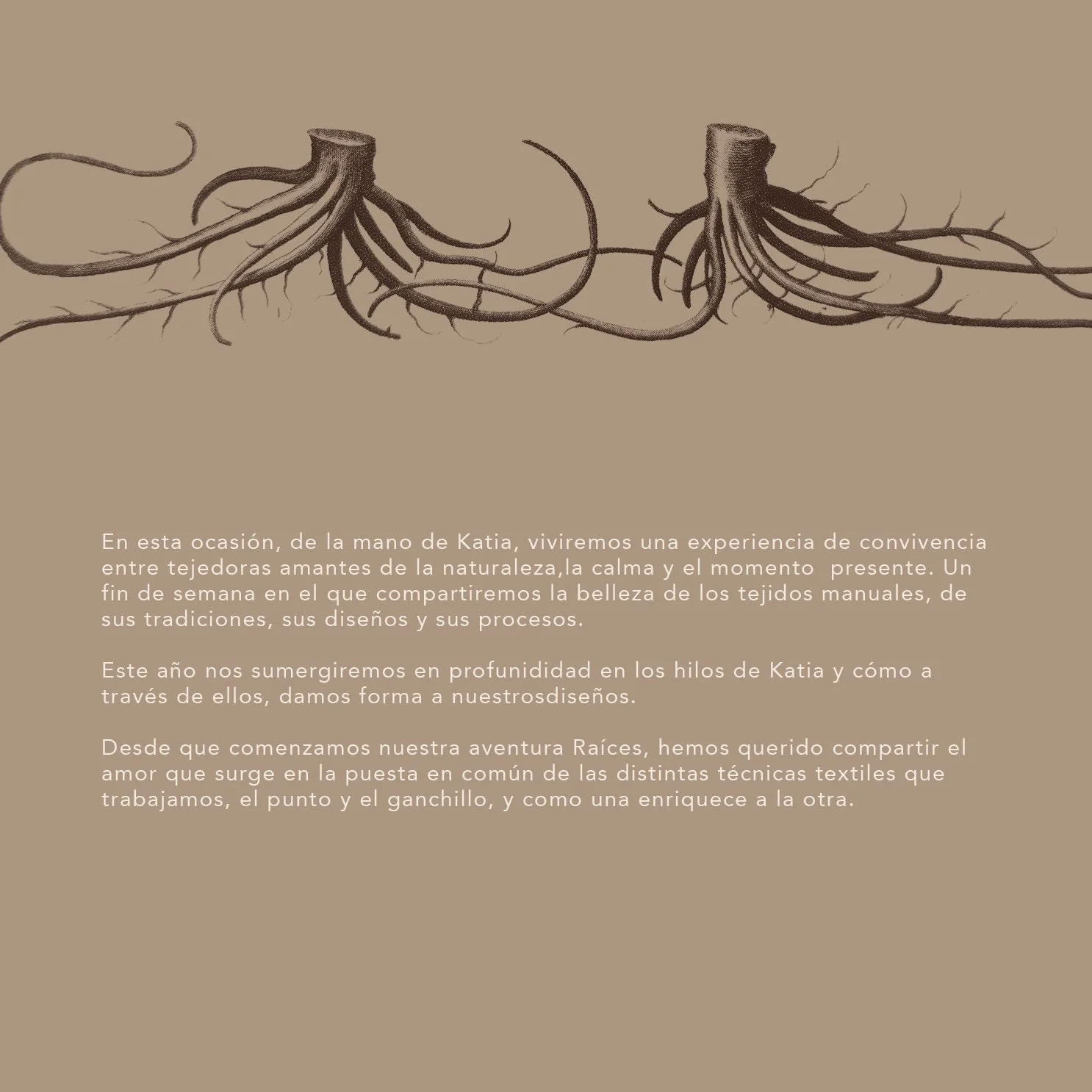 Dossier retiro a las raices V_katia2web.jpg