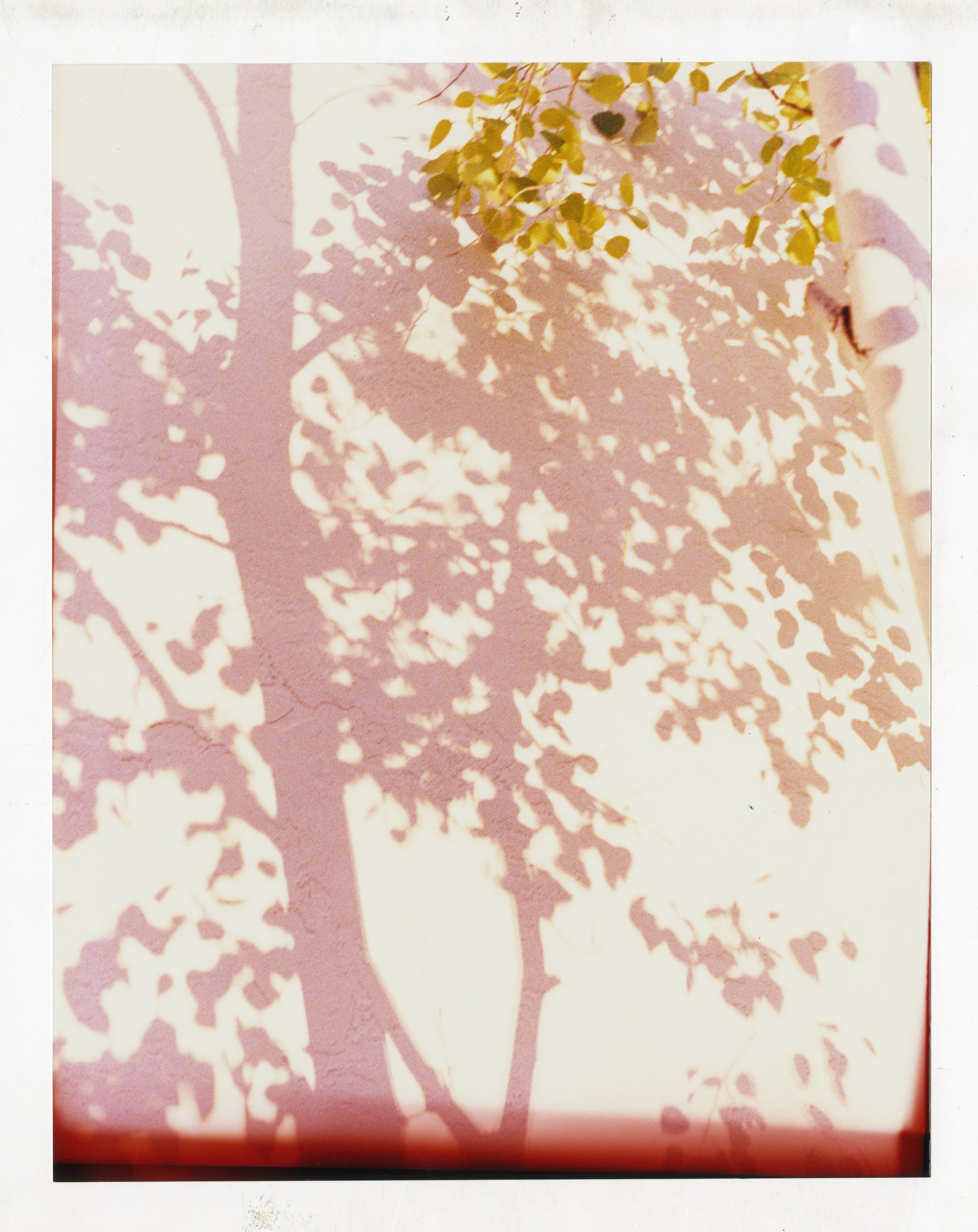 NUMERO-240_014.jpg