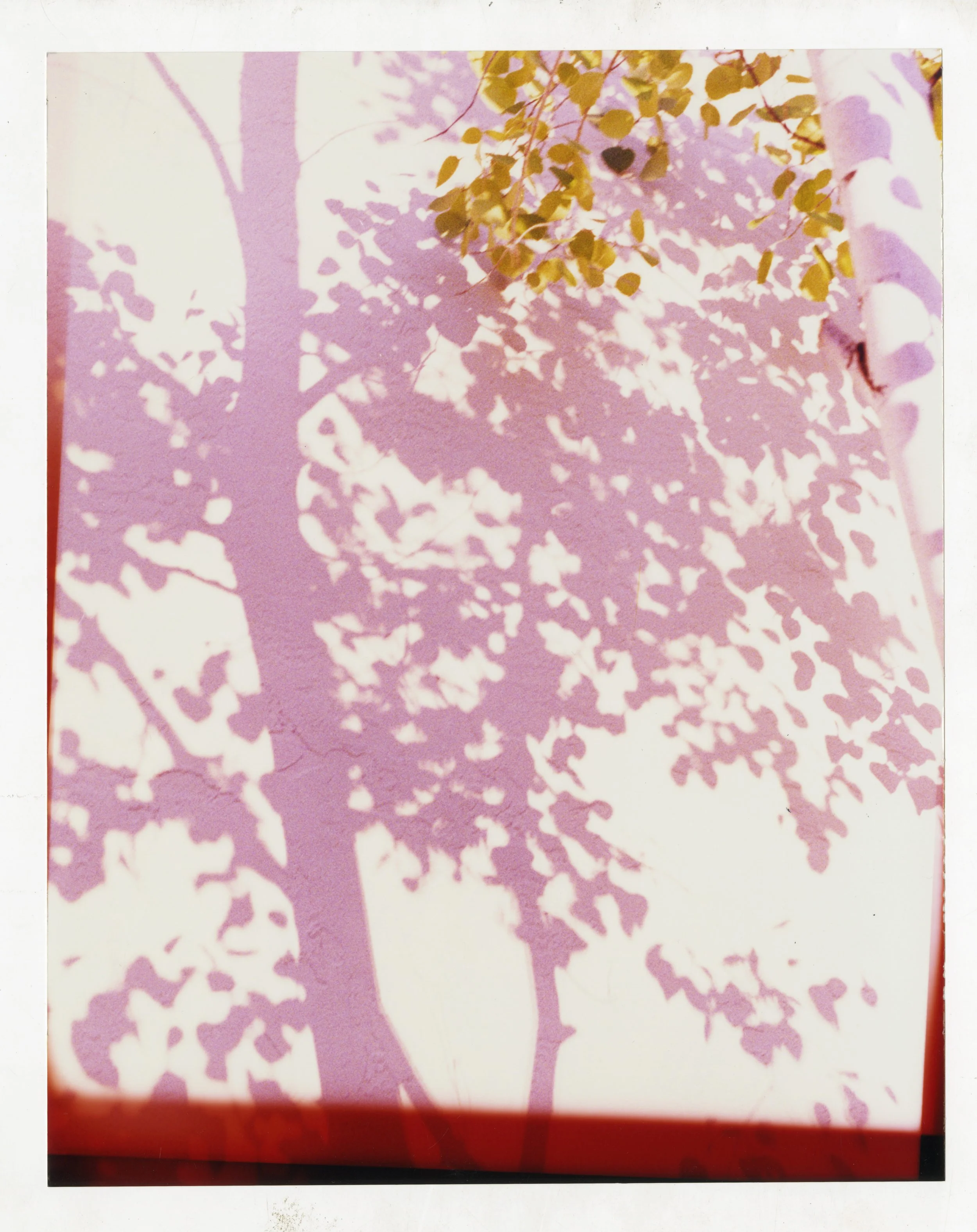 NUMERO-240_013.jpg