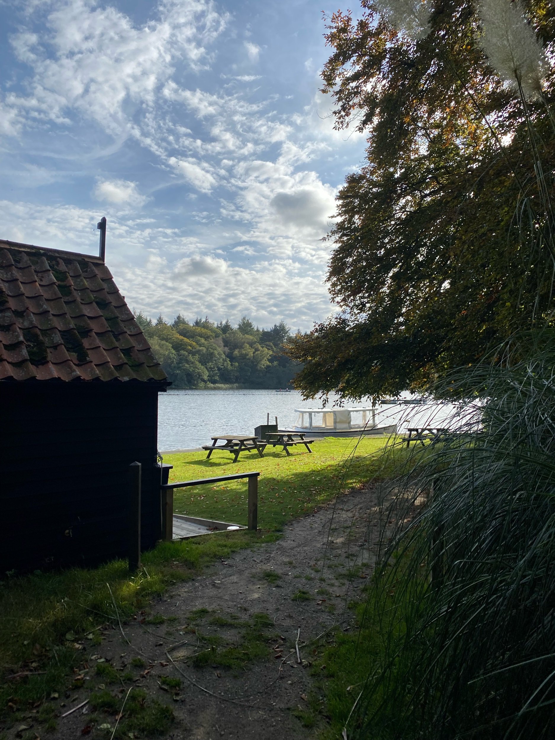 IMG_3962.jpeg