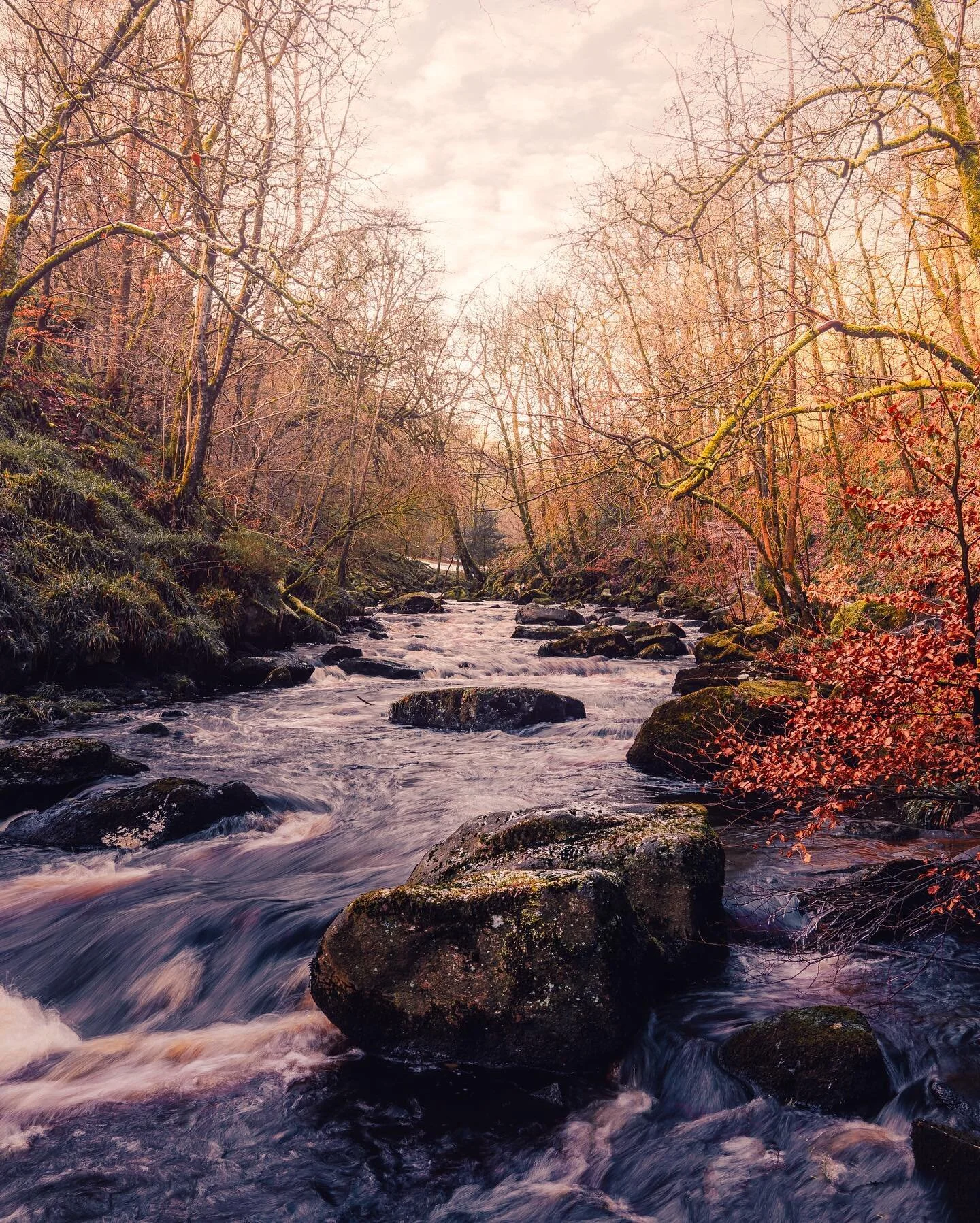 windows 98 desktop background