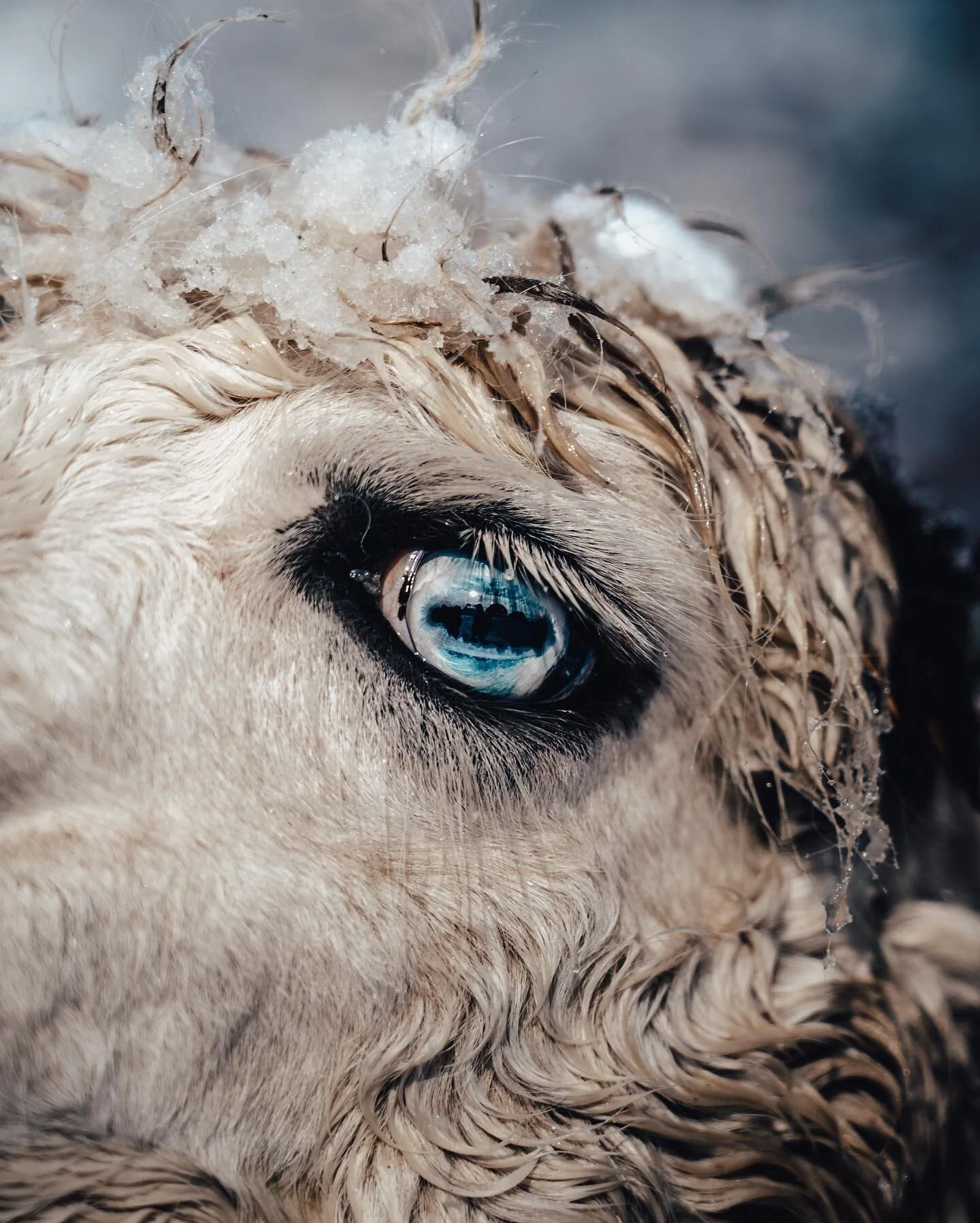 Spooky eyes.

Swipe to see who they belong to.