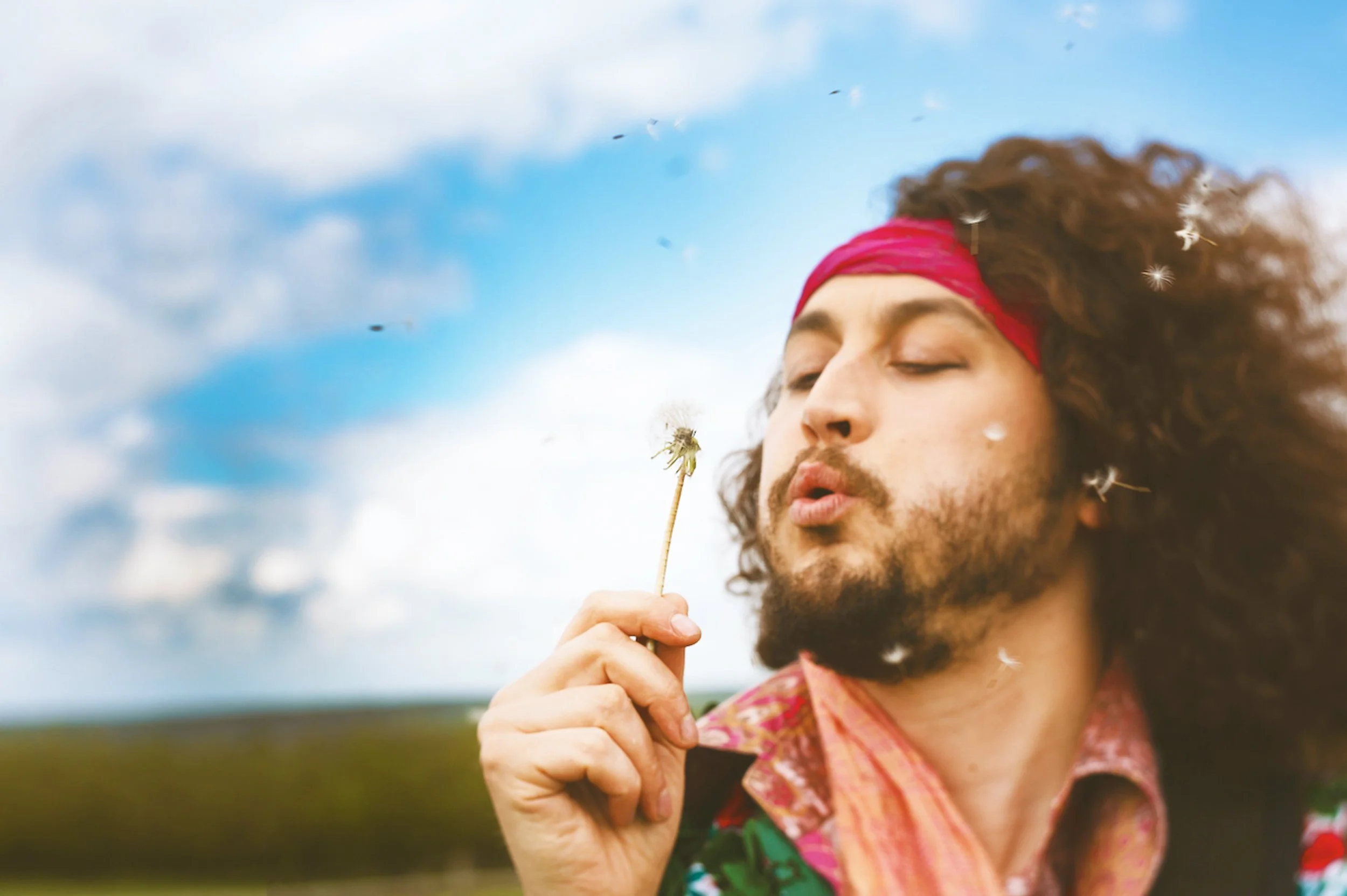 Sam Dandelion (1).jpg