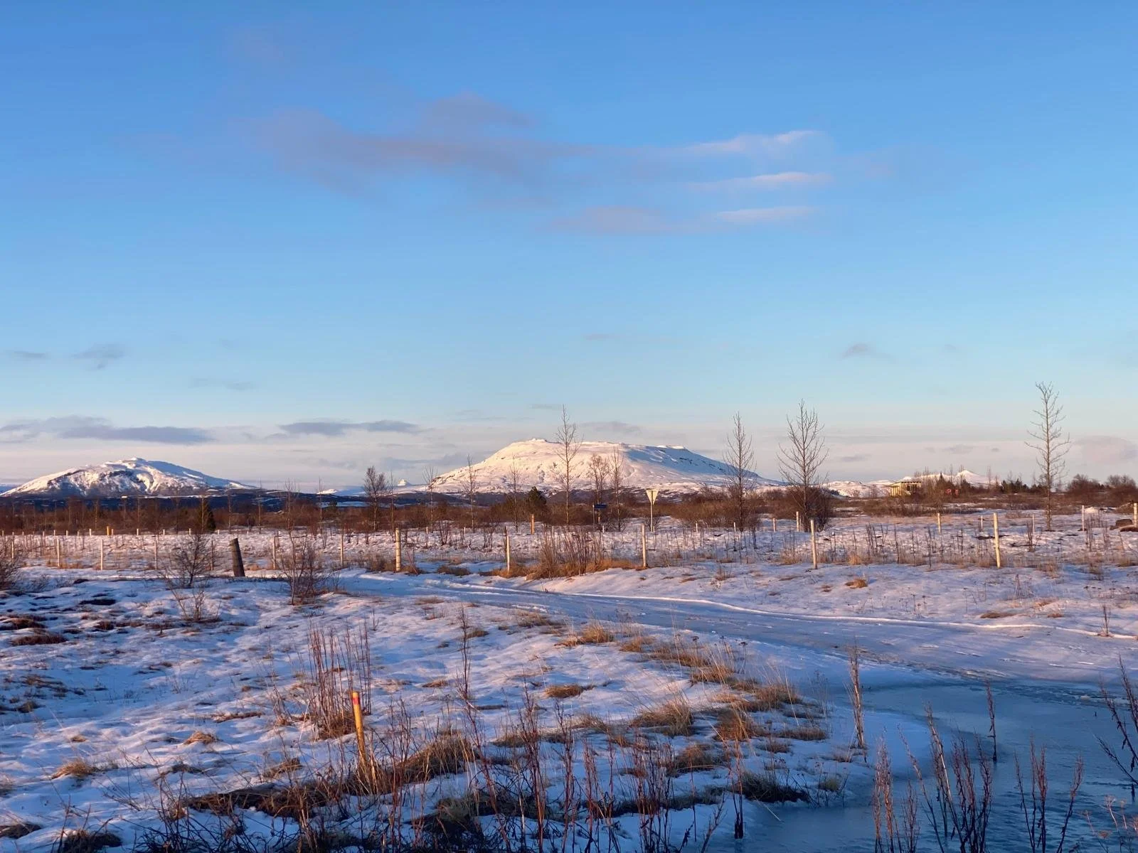 A geothermal landscape with a steaming volcano, moss-covered ground, and flowing stream in the foreground under a cloudy sky.