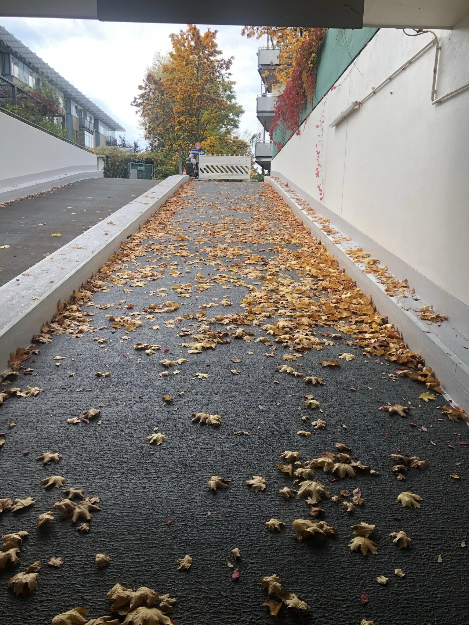 So herbstlich können Beschichtungsarbeiten aussehen