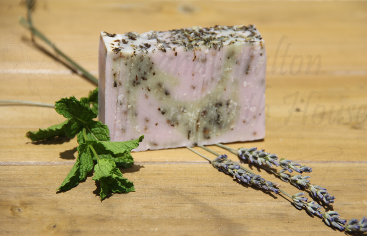 Lavender Mint.png