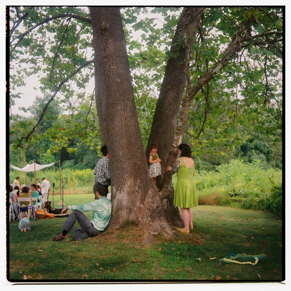 People gathered outdoors in a park, with a large tree at the center. A woman in a green dress stands next to the tree talking to a girl who is sitting on a lower branch. Other people are sitting on the grass and at tables in the background, some unde