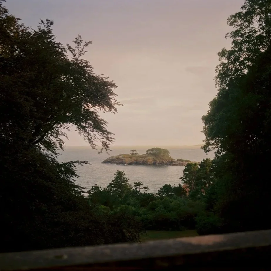 View of a small island surrounded by water, framed by trees on both sides, with an overcast sky in the background. Film wedding photographer in Maine. 