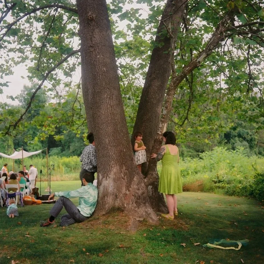 People gathered outdoors in a park, with a large tree at the center. A woman in a green dress stands next to the tree talking to a girl who is sitting on a lower branch. Other people are sitting on the grass and at tables in the background, some unde