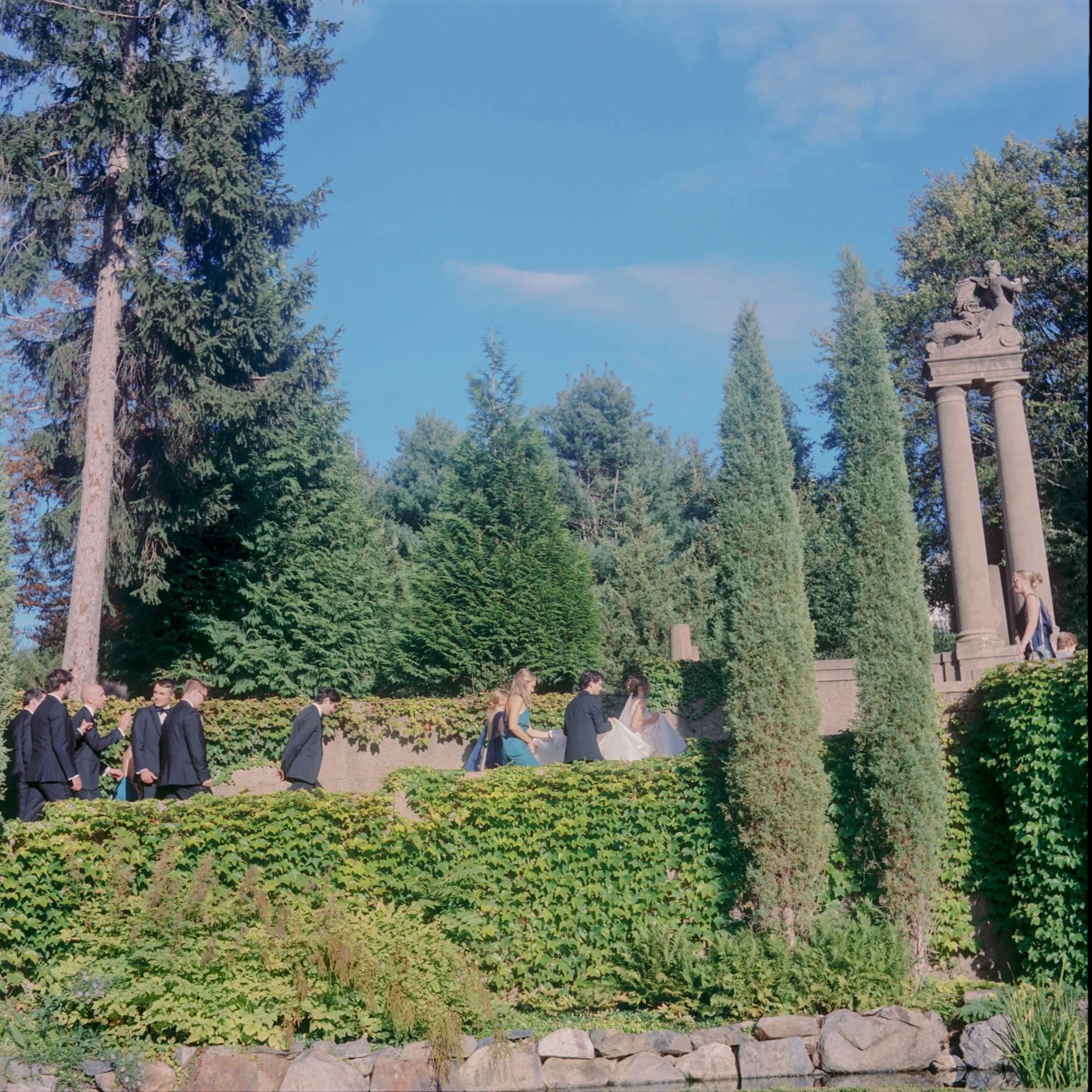 A wedding procession walking through a lush, green garden with tall trees and ancient columns with statues on top, under a blue sky. Non -traditional film wedding photographer in Maine. 