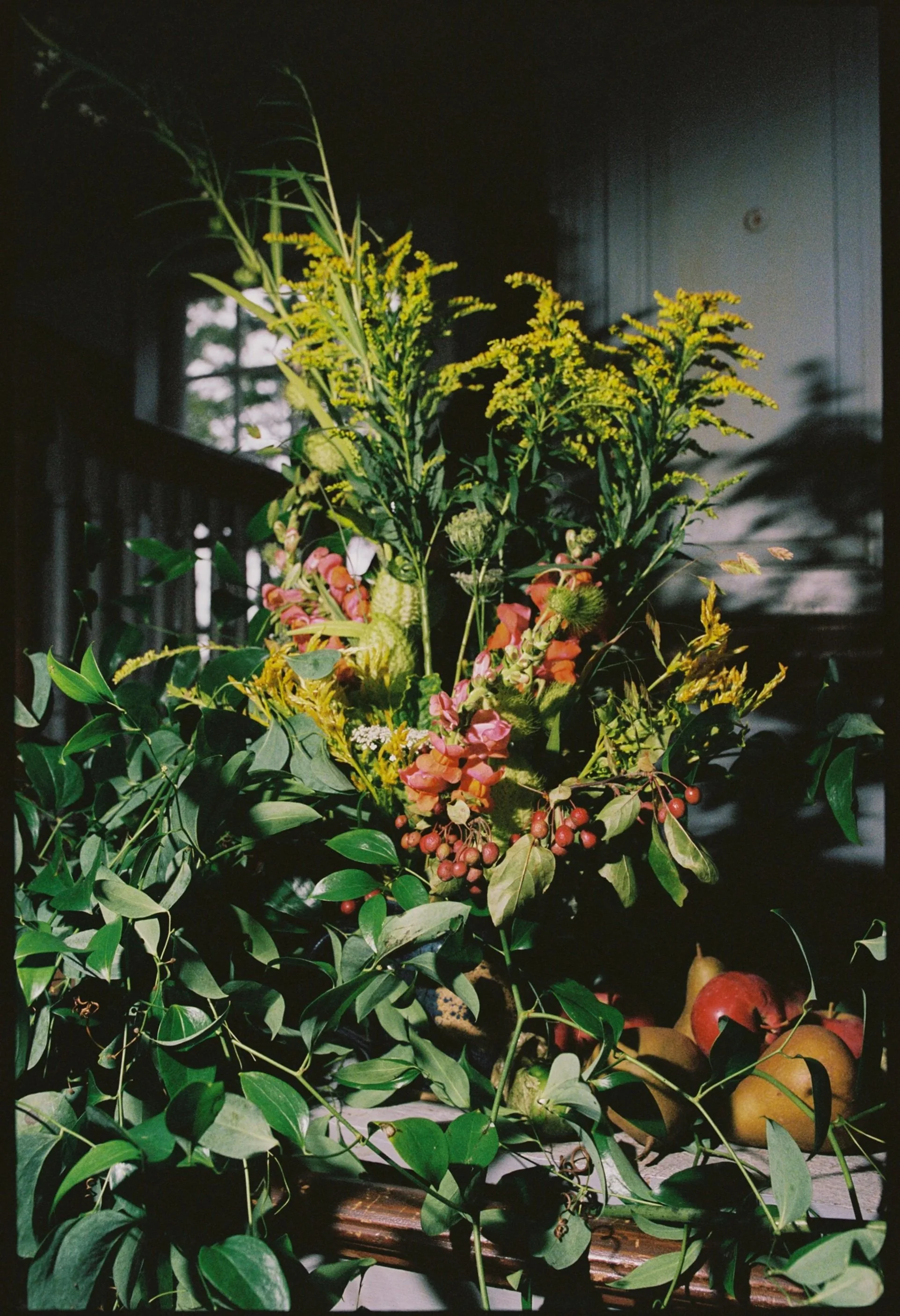 A floral arrangement with yellow, pink, and green flowers and berries, surrounded by green leaves on a table with apples and pears, with a dark background and a window letting in some natural light. Non -traditional film wedding photographer in Maine
