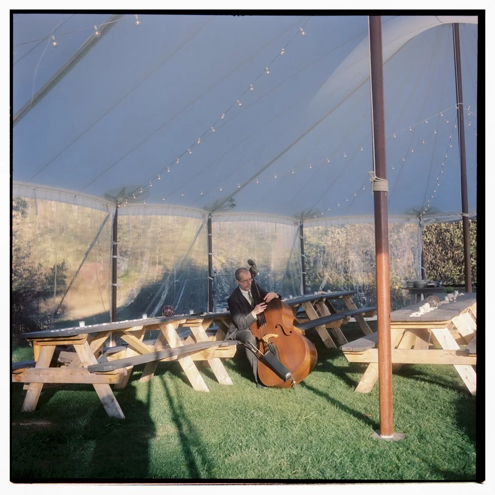 A musician playing a double bass under a large white canopy with string lights, outdoor picnic benches, and a grassy area. Non -traditional film wedding photographer in Maine.  