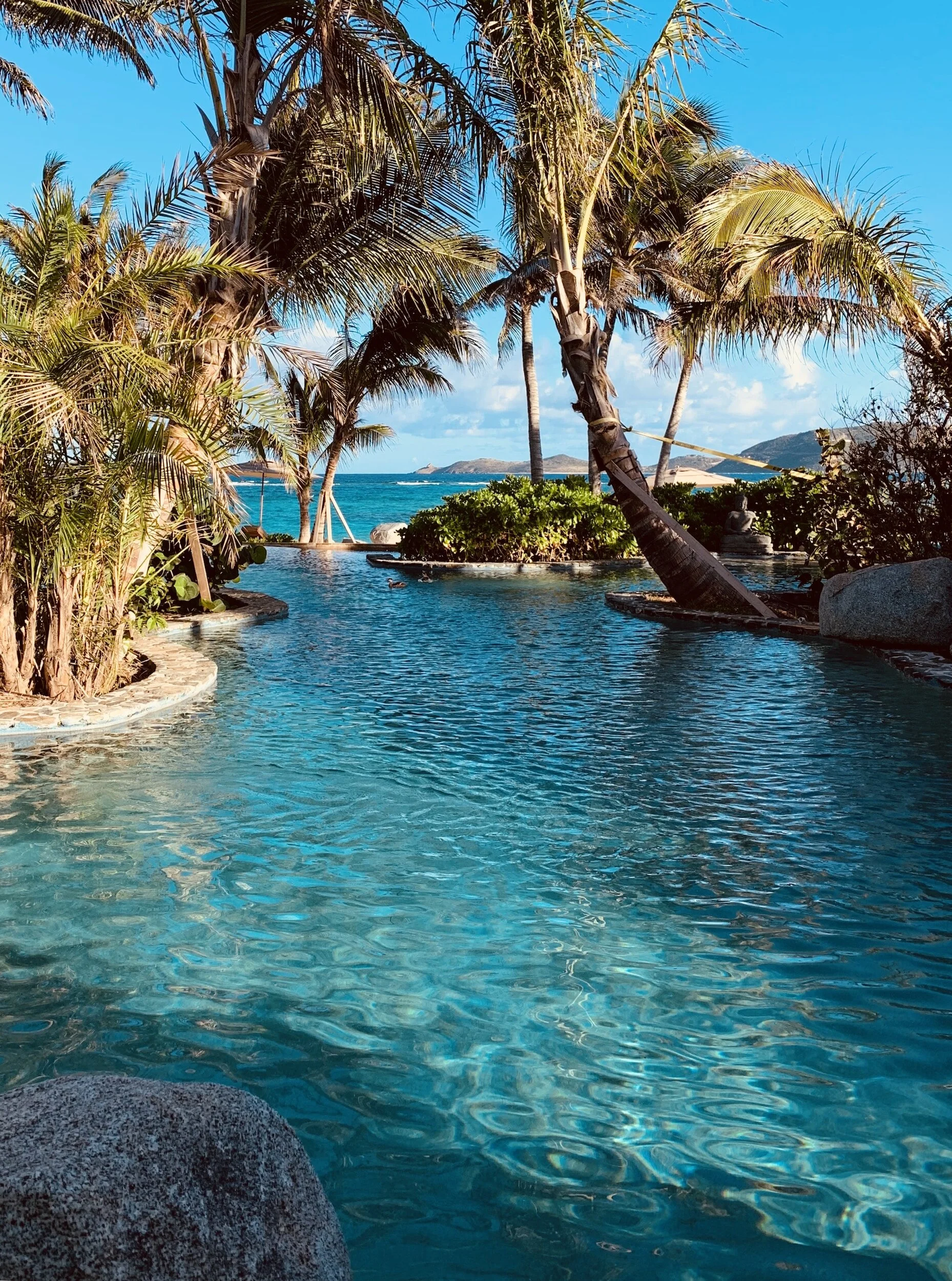 The Tower Card and Necker Island