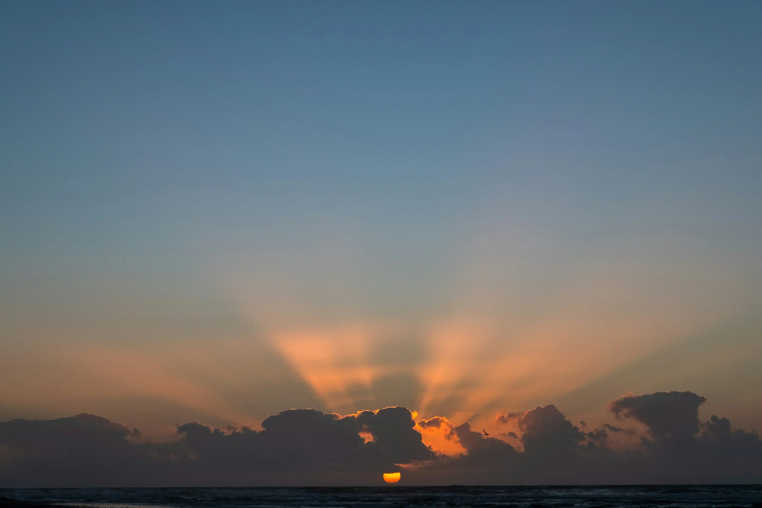 Rising from the ashes... what I have learnt about new beginnings...