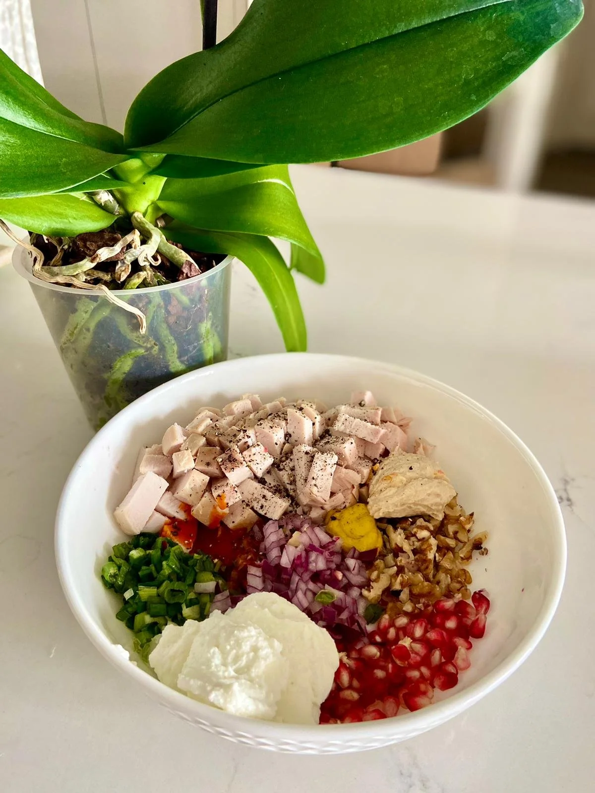 WhatsApp Image 2021-10-19 at 1.01.11 PM (1).jpeg