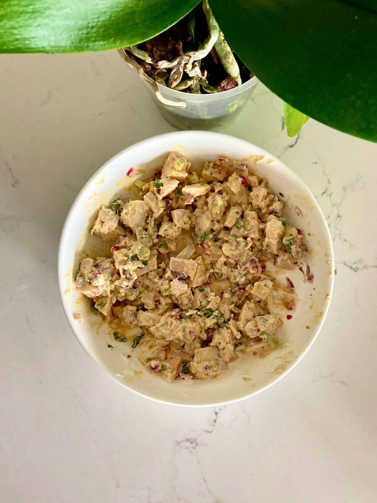 WhatsApp Image 2021-10-19 at 1.01.11 PM.jpeg