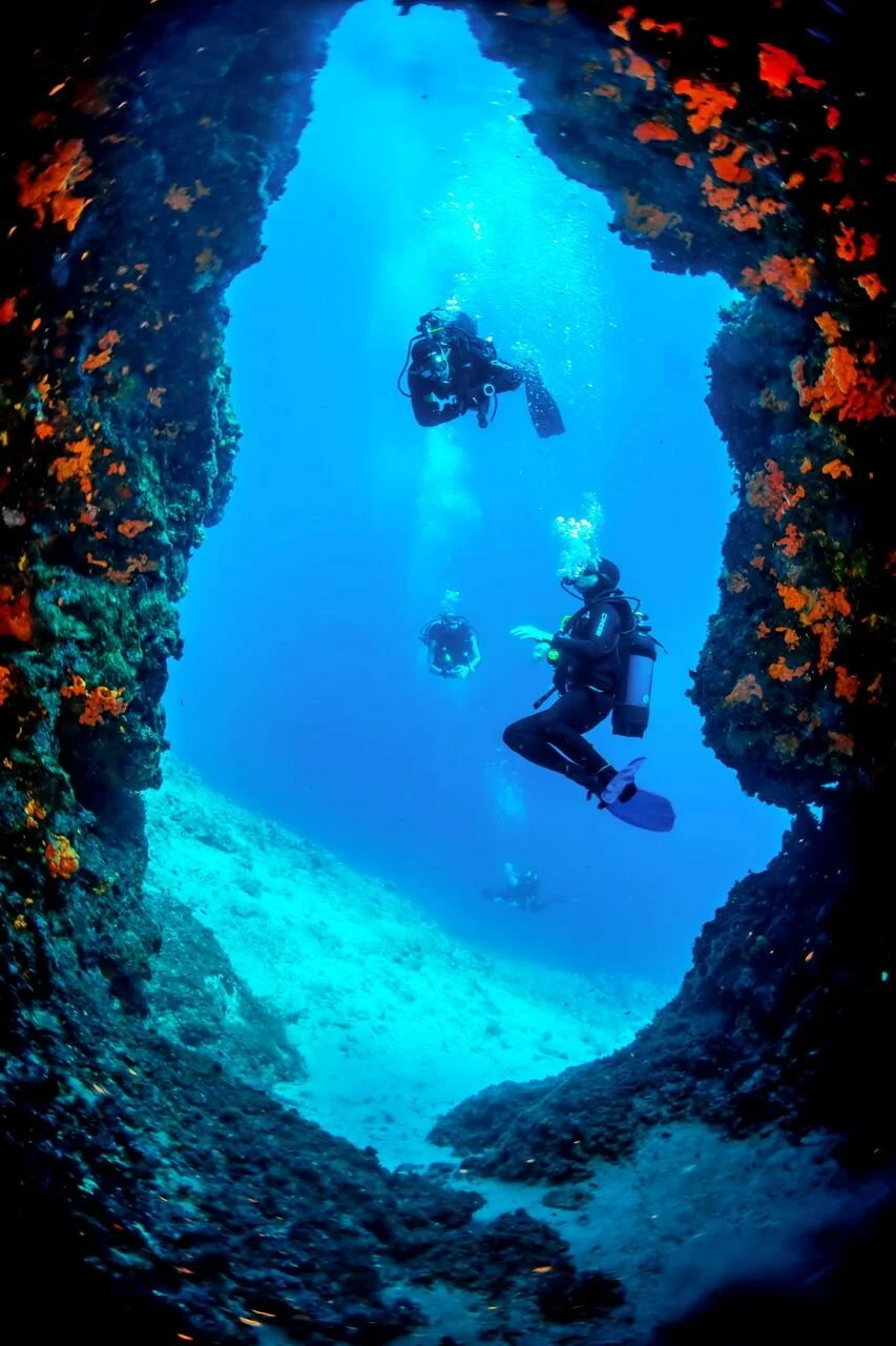 Image courtesy of Skopelos Dive Centre.