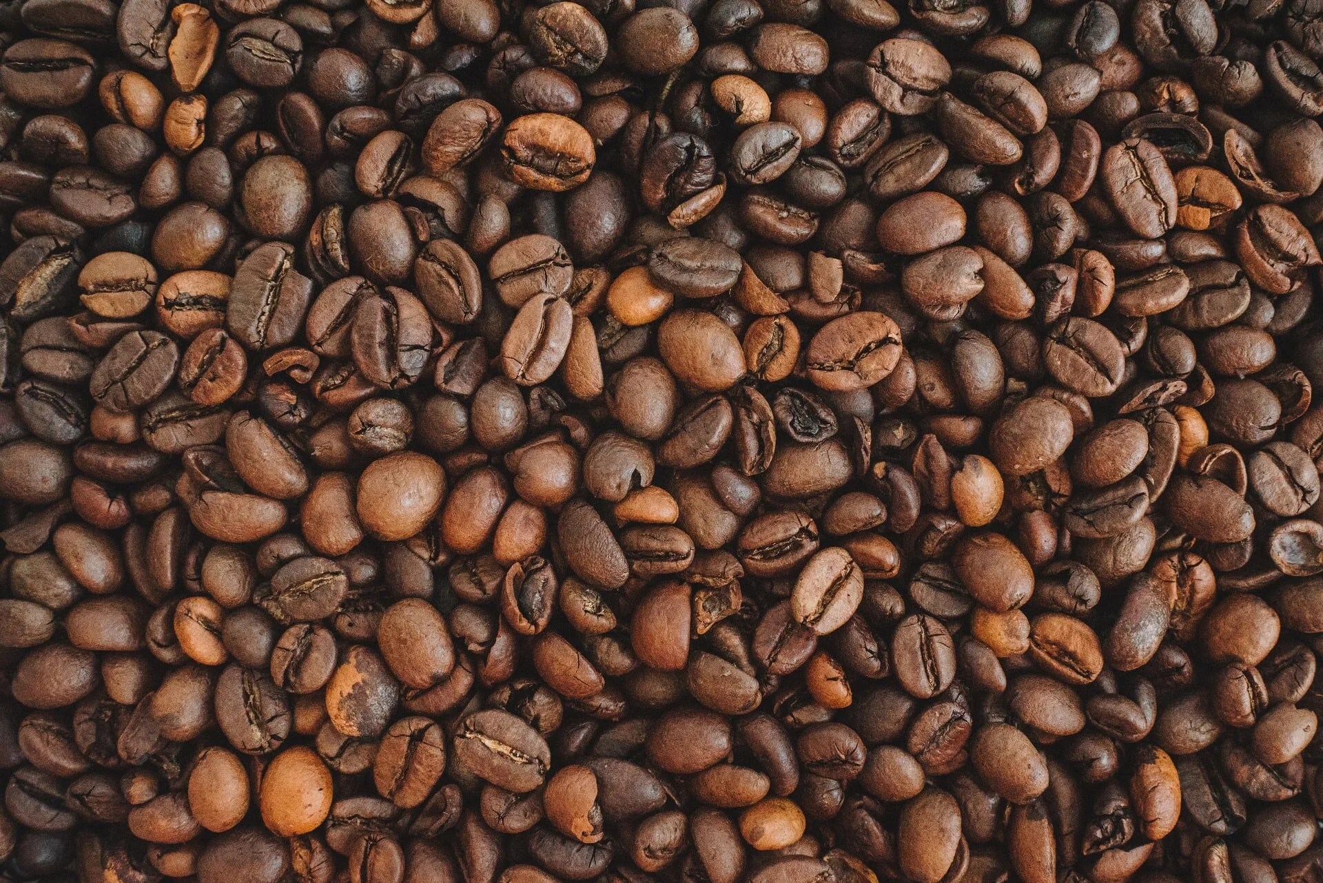 أيهما ت فضل تحميص القهوة الخفيف أم الداكن Word On Coffee