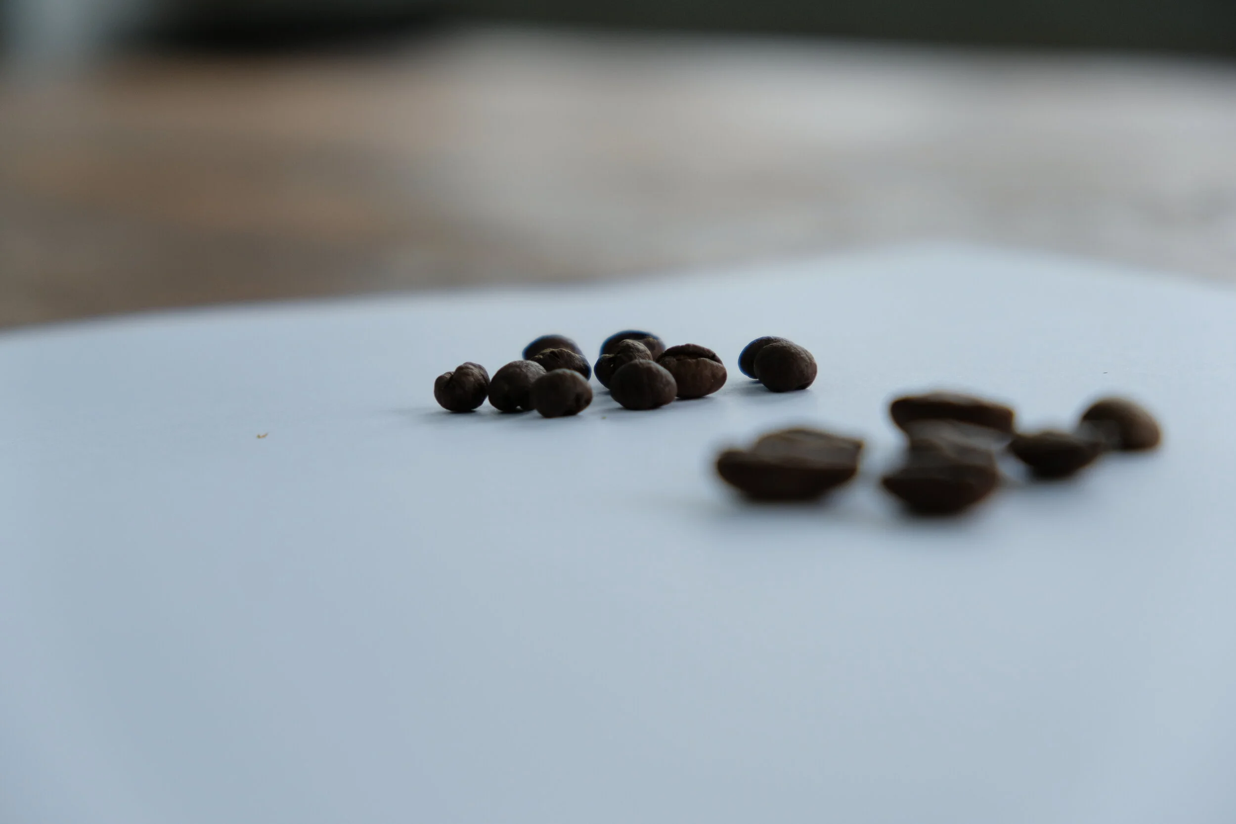 ماذا تعرف عن حبوب البايبيري؟ Peaberry 