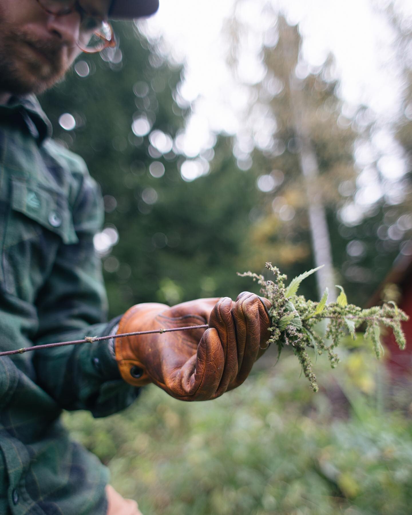 Hopefully not a new obsession. Really enjoyed this project. Making cordage from nettle fibers
.
Nettles have been a reliable source of matrieral for cordage and weaving since prehistoric times and I couldn&rsquo;t believe how strong they were after I