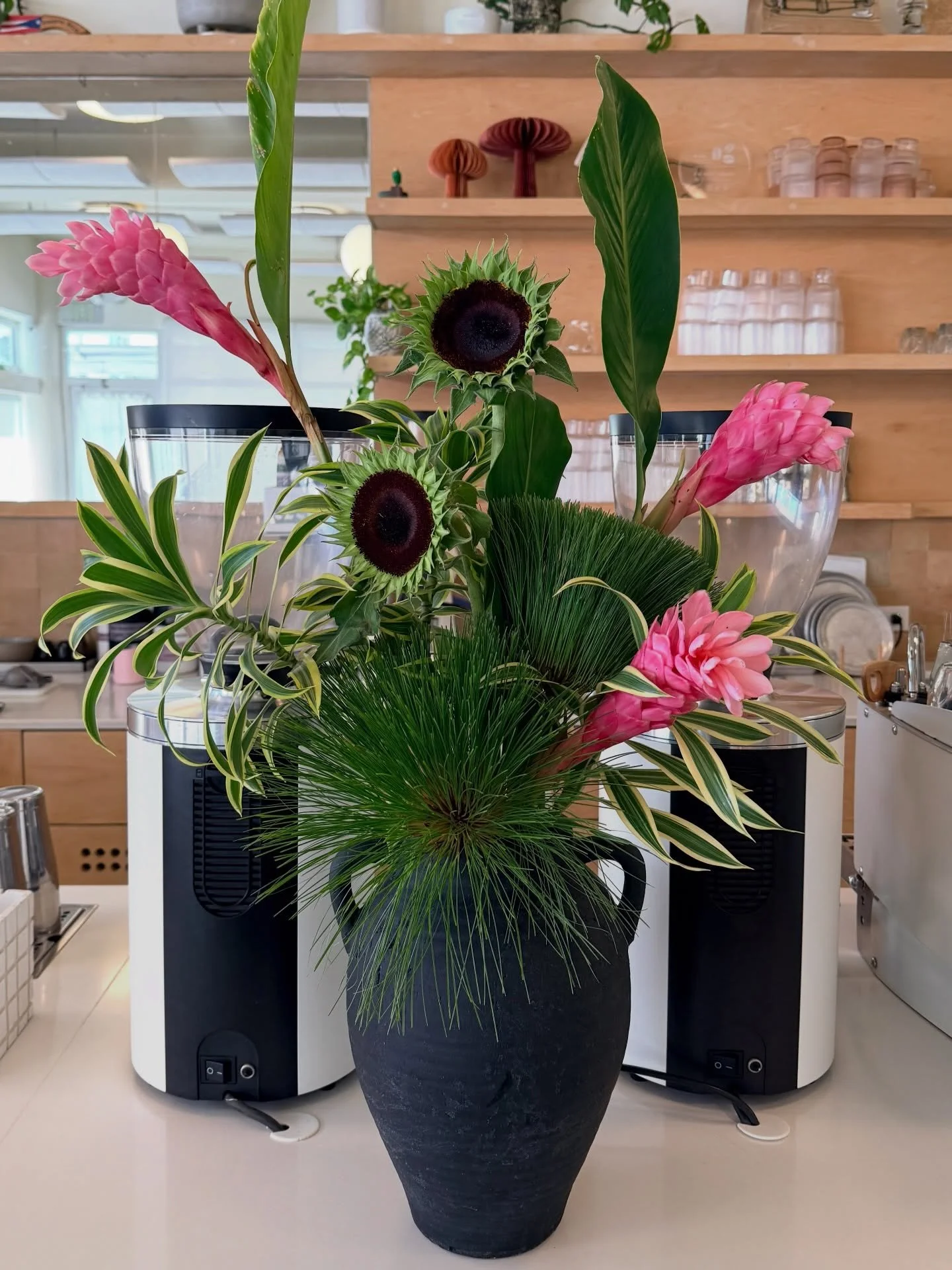 Buen d&iacute;a con mucha alegr&iacute;a: hay agua y hay flores nueeeevas de Kali!