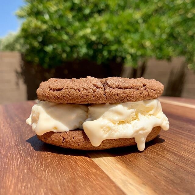 The perfect summer treat, tasty homemade ice cream sandwiches, with ice cream from @tillamook. https://www.needskneaded.com/recipes/ice-cream-cookie-sandwiches
&bull;
&bull;
&bull;
&bull;
#cookies #icecream #icecreamsandwich #recipe #summervibes #sum
