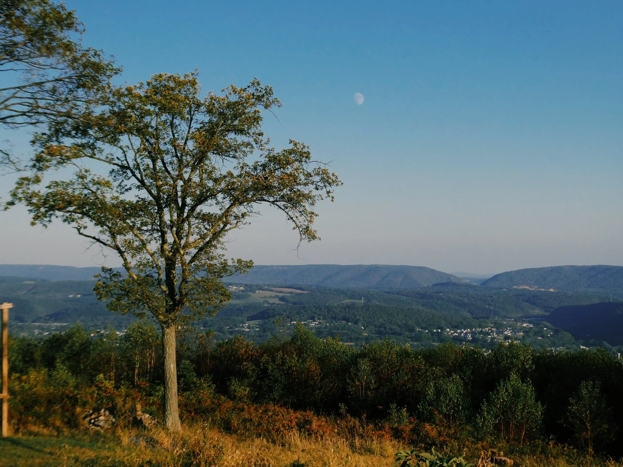P1001155_VSCO.JPG